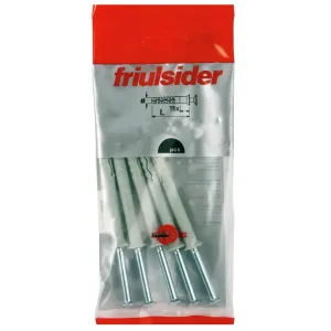 FM TSS slagplug 8x100 PK pozi zak 10 stuks