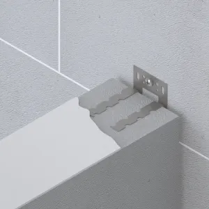 Wandanker dilaterend 60x1.25 mm verzinkt 10 st/bl