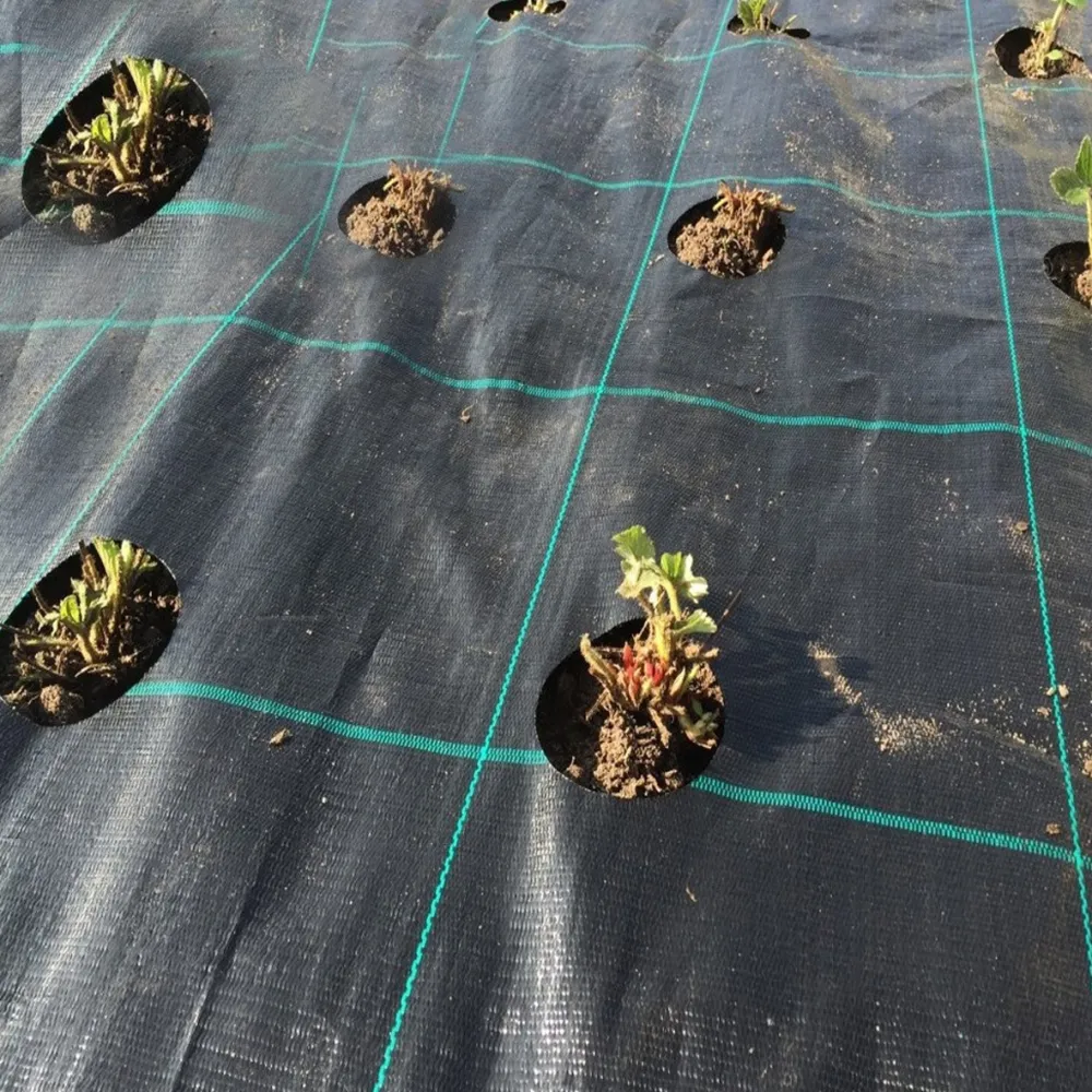 Anti Worteldoek 100 gr. zwart rol 210 cm breed