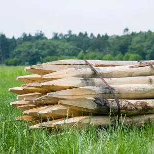 Kastanje paal 6/8 cm geschild