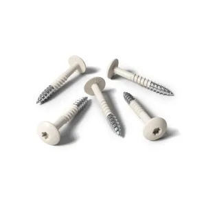 Kleurkopschroef 4.8x25 RVS A2 RAL 9001 cremewit 100 st/ds