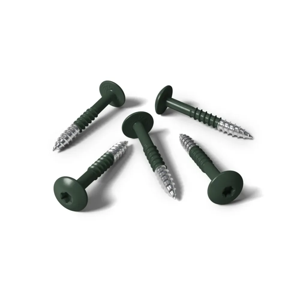 Kleurkopschroef 4,8x25 RVS A2 RAL 6009 dennengroen 100 st/ds