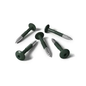 Kleurkopschroef 4,8x38 RVS A2 RAL 6009 dennengroen 100 st/ds