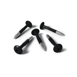 Kleurkopschroef 4,8x38 RVS A2 RAL 9005 gitzwart 100 st/ds