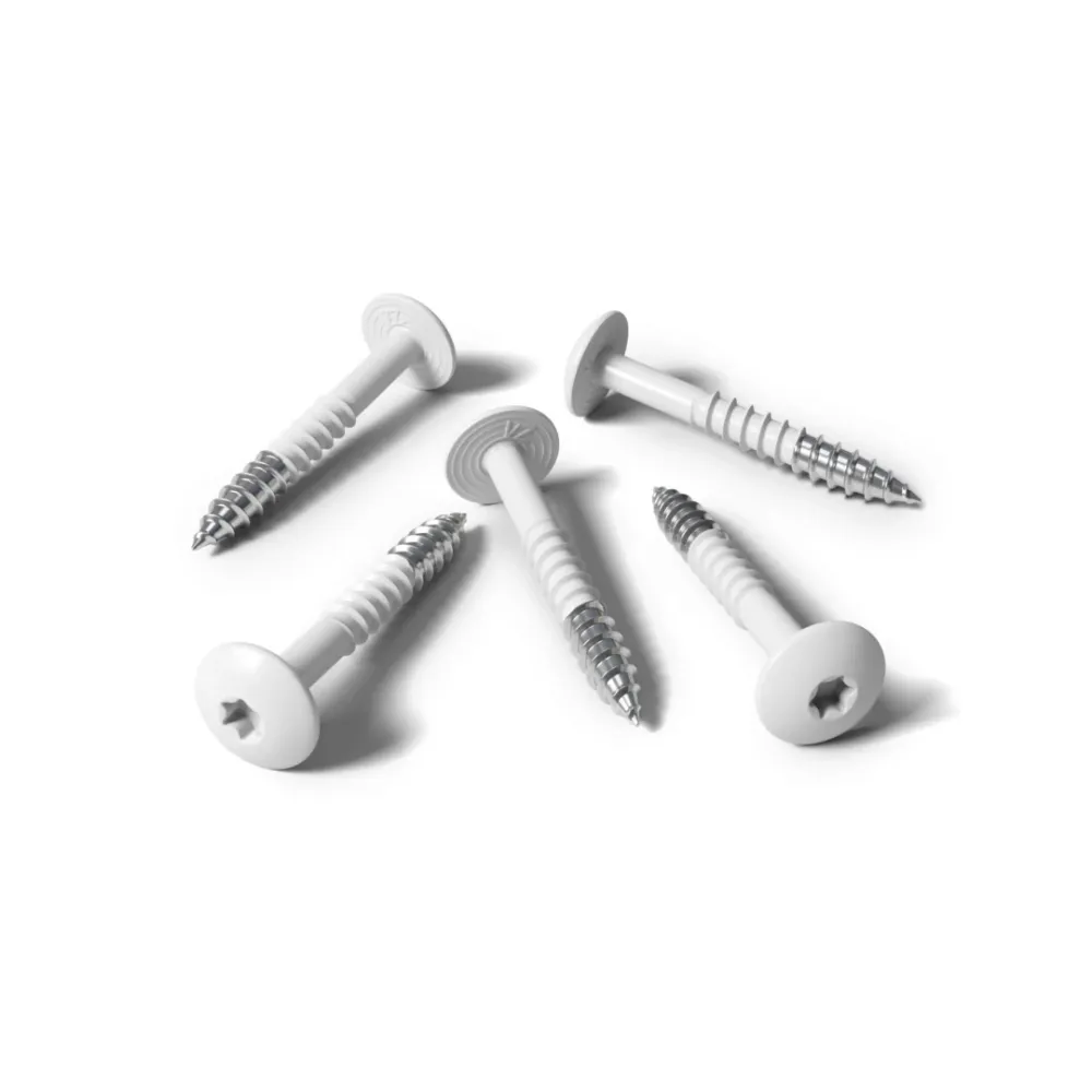 Kleurkopschroef 4,8x25 RVS A2 RAL 9016 verkeerswit 100 st/ds