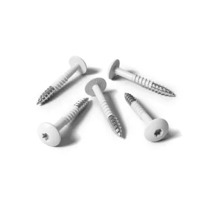 Kleurkopschroef 4,8x38 RVS A2 RAL 9016 verkeerswit 100 st/ds