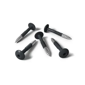 Kleurkopschroef 4,8x38 RVS A2 RAL 7016 antraciet 100 st/ds