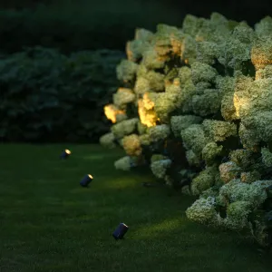 LightPro Castor 4 12V