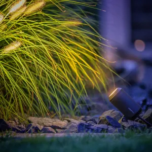 LightPro Castor 4 12V