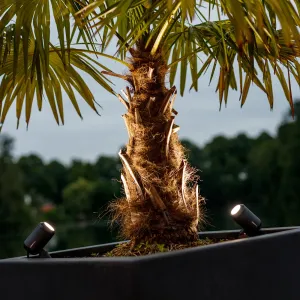 LightPro Castor 9 12V