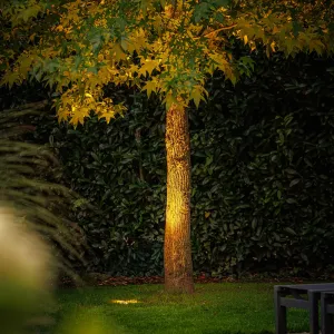 LightPro Atik R1 12V