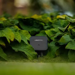 LightPro Switch Smart (Wifi) 12V