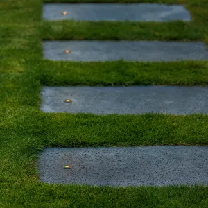 LightPro Onyx 30 RA 12V