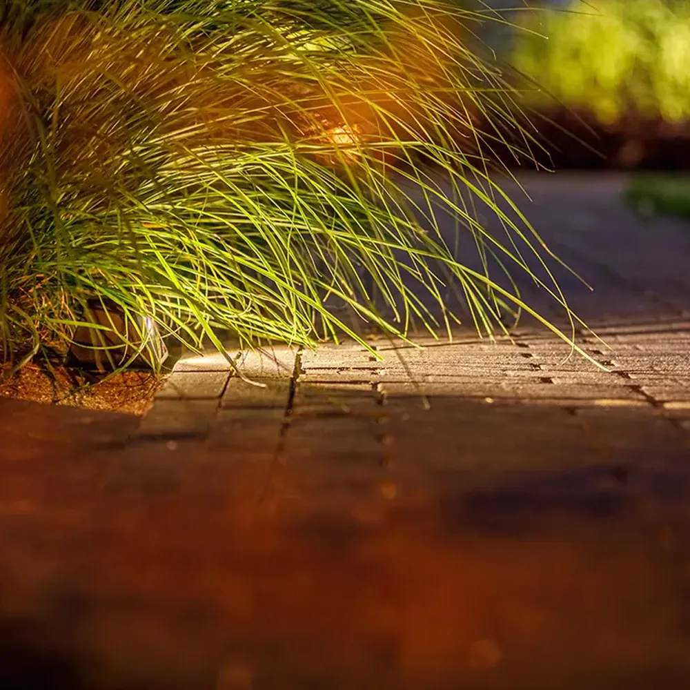 LightPro Tiga DL 12V