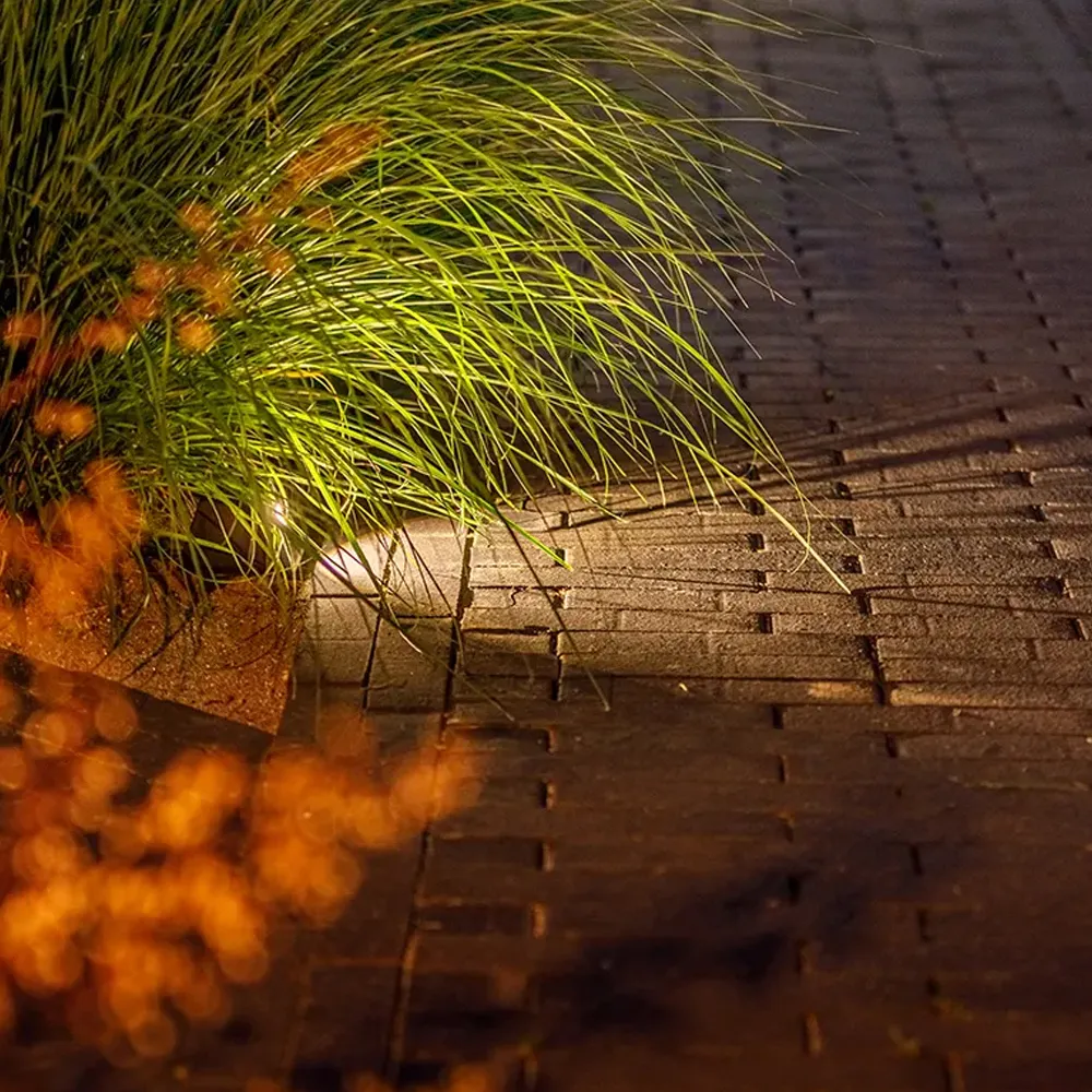 LightPro Tiga DL 12V