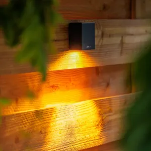 LightPro Tiga Wall 12V