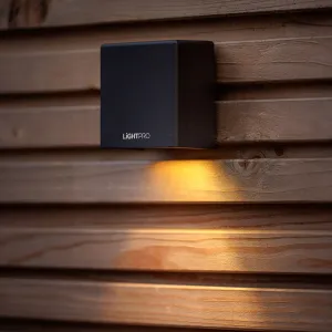 LightPro Tiga Wall 12V