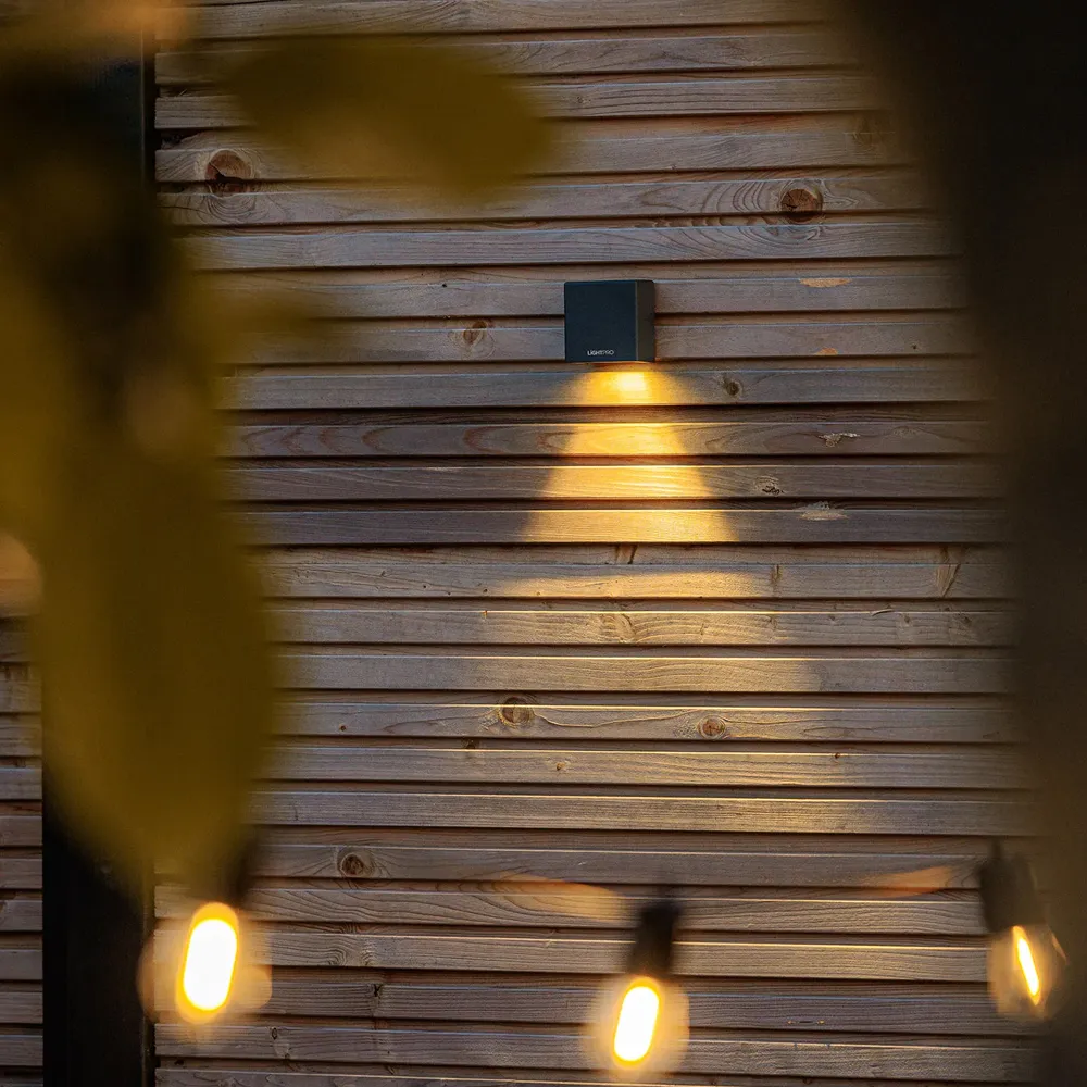 LightPro Tiga Wall 12V