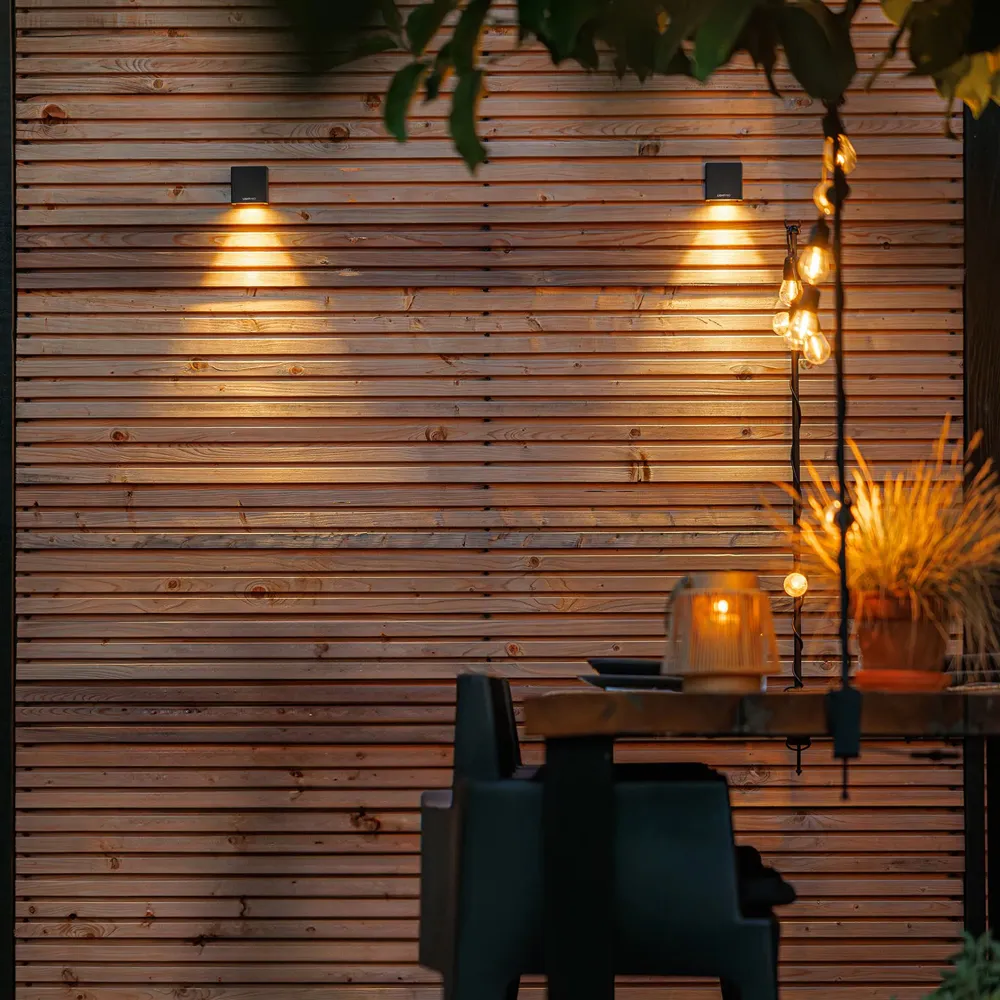 LightPro Tiga Wall 12V