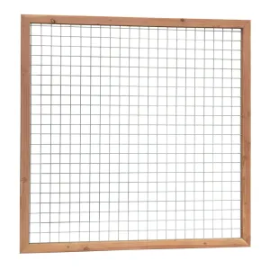 Douglas betonijzertrellis 180x180 cm maas 7,5x7,5 cm onbehandeld