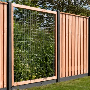 Douglas betonijzertrellis 90x1809 cm maas 7,5x7,5 cm onbehandeld