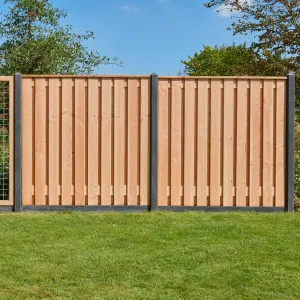 Douglas plankenscherm 180x180 cm 21-planks geschaafd onbehandeld