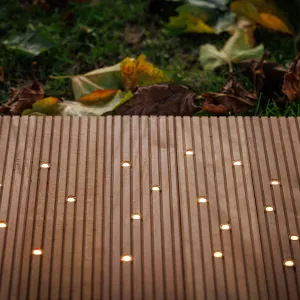 LightPro Onyx 20 12V