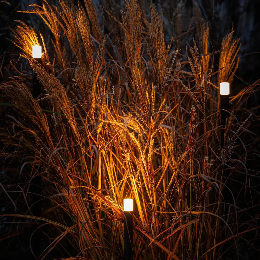 LightPro Erba set van 3 12V