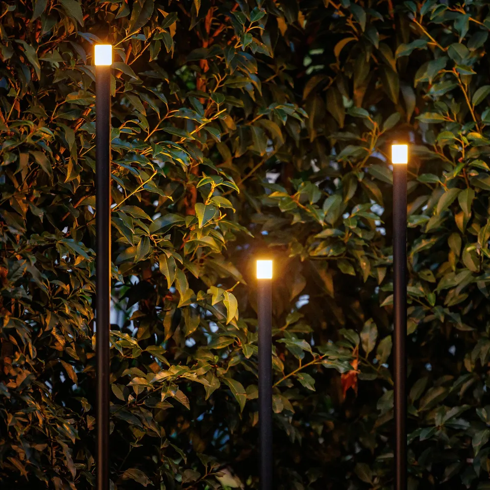 LightPro Erba set van 3 12V