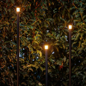 LightPro Erba set van 3 12V