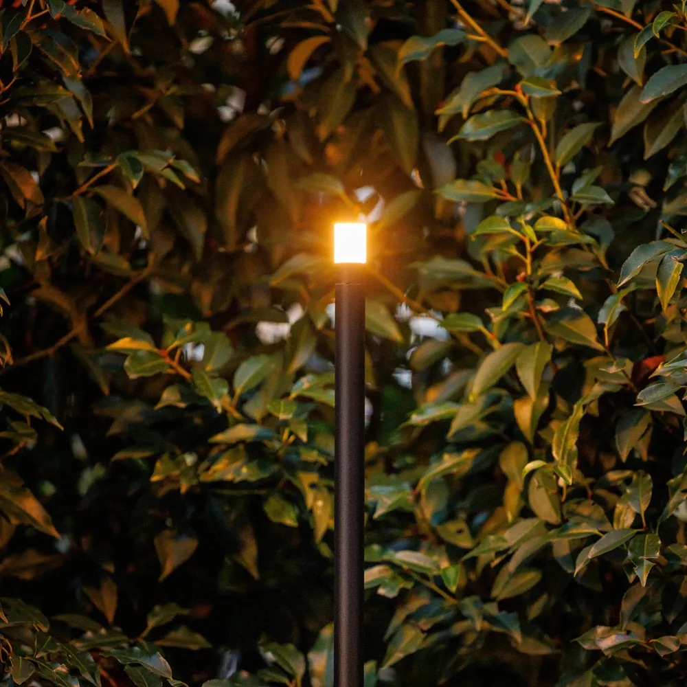 LightPro Erba Mid 12V