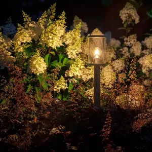 LightPro Eros Lo 12V