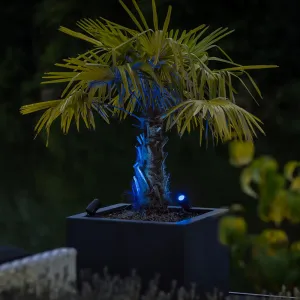 LightPro Castor Smart (Zigbee) 12V