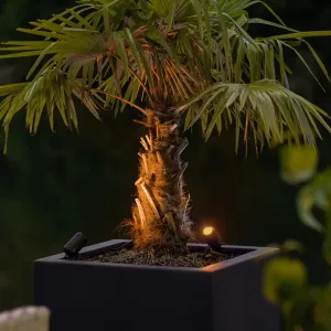 LightPro Castor Smart (Zigbee) 12V