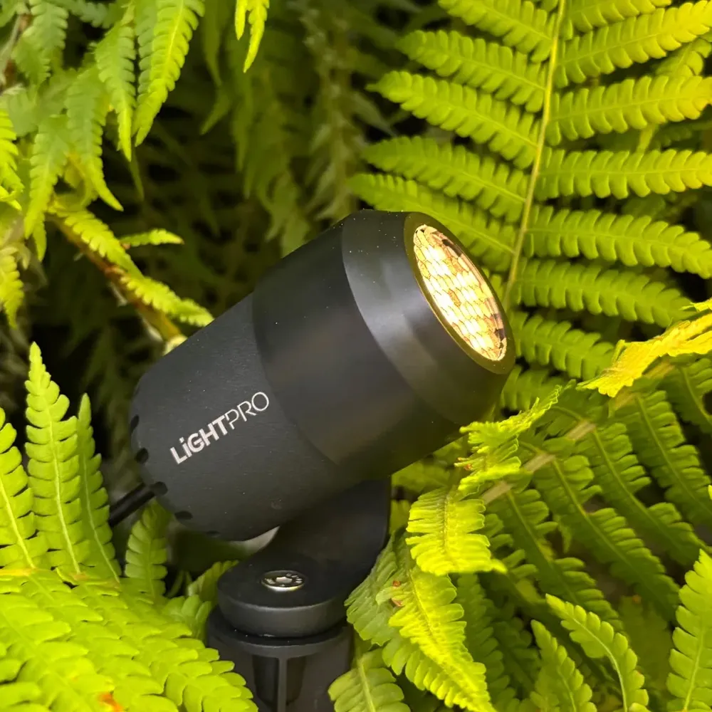 LightPro Honeycomb Juno