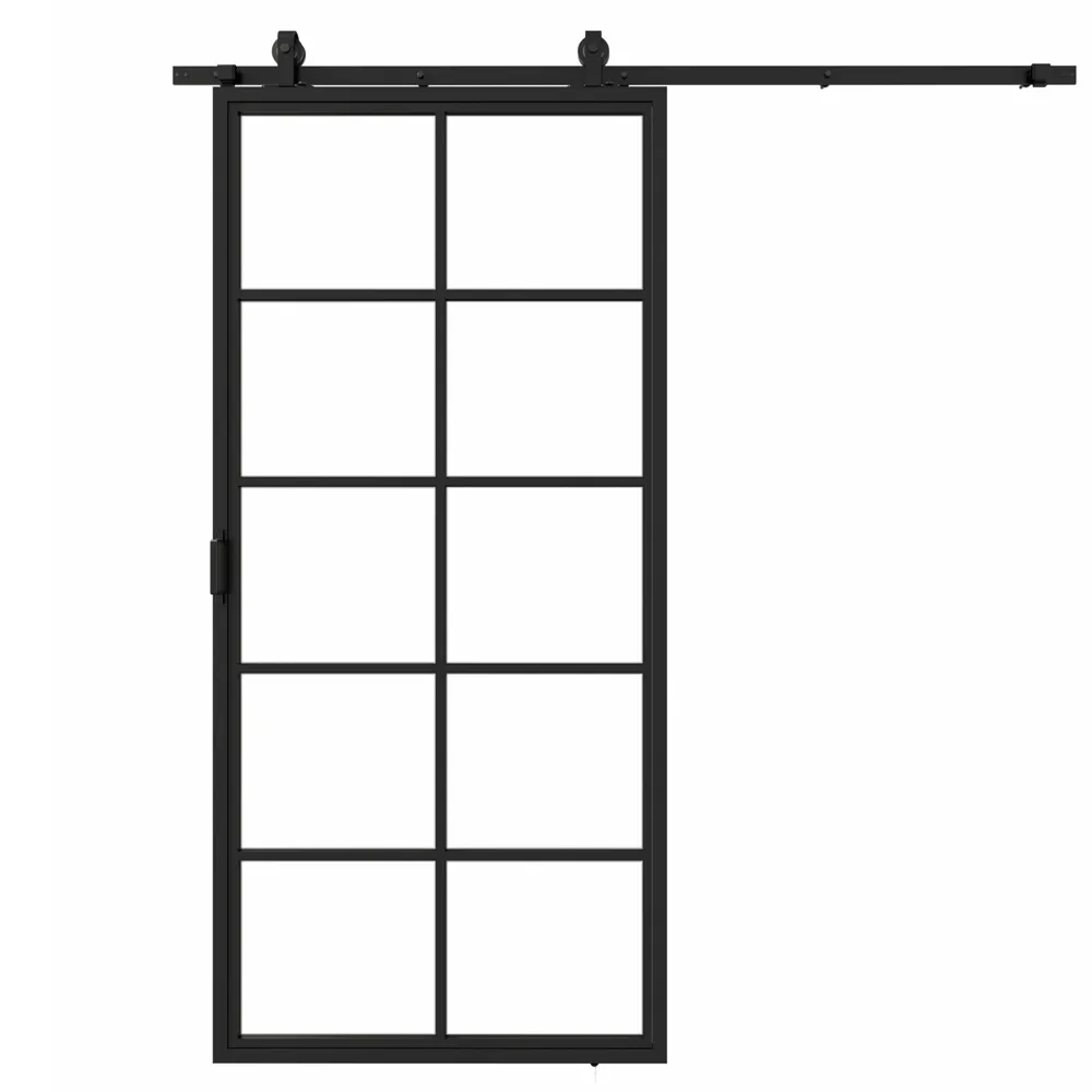 Stalen schuifdeur 10-vlaks helder glas 2150x1000 mm