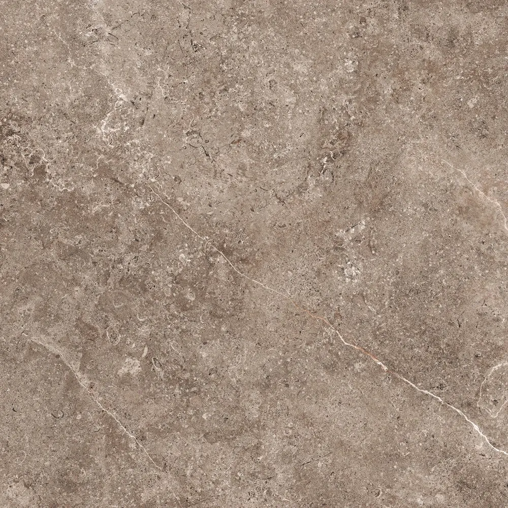 GeoCeramica 100x100x4 cm Landstone Earth