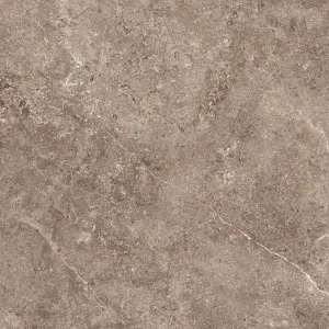 GeoCeramica 100x100x4 cm Landstone Earth