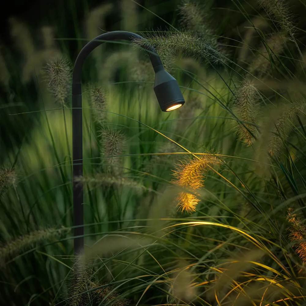 LightPro Xible Hi 12V