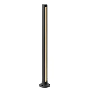 LightPro Lino 12V