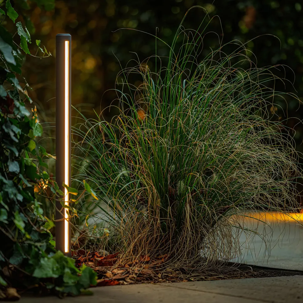 LightPro Lino 12V