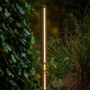 LightPro Lino 12V