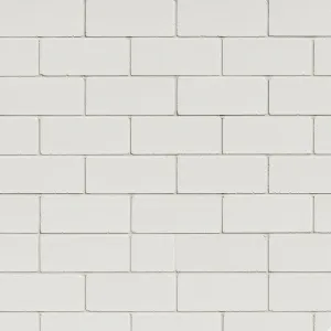 Kalkzandsteen metselsteen waalformaat CS16 214x102x55