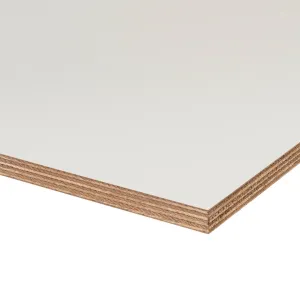 Okoume exterieurplaat 2500x1220 mm wit gegrond B/BB